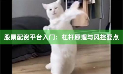 股票配资平台入门：杠杆原理与风控要点